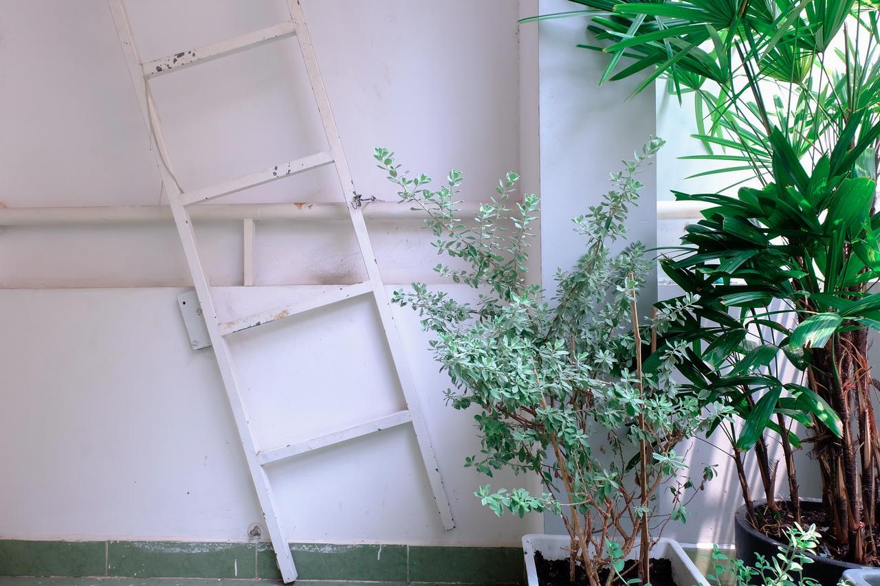 Magari Homestay مدينة هوشي منه المظهر الخارجي الصورة